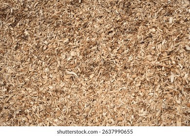 high angle view of mulch background in garden