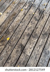 High angle view of old grey wooden boardwalk texture with scattered fallen dry leaves.