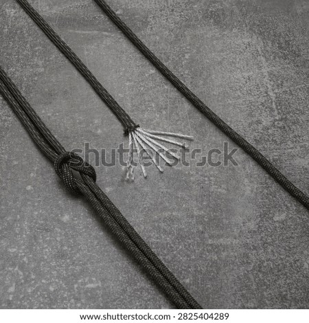High angle view of olive drab tactical 550 paracord with knot showing exposed white inner nylon core strands on dark grey concrete textured backdrop background, utility equipment concept.