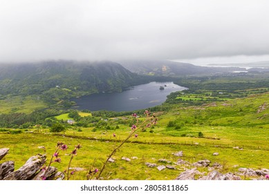 High angle view over a dark mountain lake and lush green valley along the Wild Atlantic Way in Ireland. Rolling hills, rocky foreground with wildflowers, scattered farms and woodland lead down to the water, while low clouds and fog cover the mountain tops under an overcast sky.