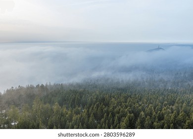 High angle view over a dense conifer forest at Hoher Bogen in the Cham district of the Bavarian Forest, Germany. Low clouds and valley fog cover the mountain landscape, with a radio tower visible on a distant hilltop under an overcast sky. The horizontal composition shows layers of woodland, hills, and misty atmosphere fading into the horizon.