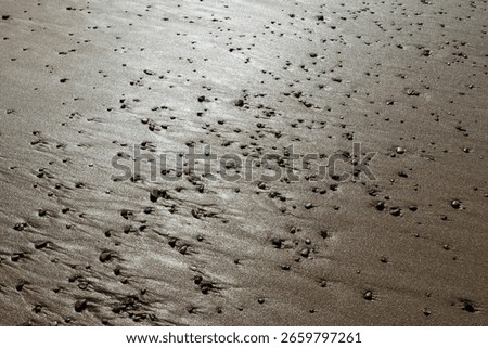 high angle view of the pebbles on the beach