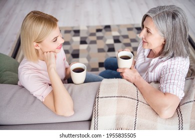 High angle view photo of two cheerful persons sit on couch arms hold coffee chatting have good mood indoors - Shutterstock ID 1955835505