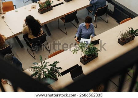 High angle view of professionals working and reading at shared desks in a modern co-working space with potted plants