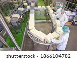 High angle view of quality control workers checking large cheese blocks on production line in a processing plant