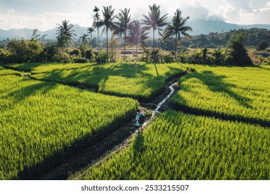 High angle view of rice fields in the evening in pai thailand