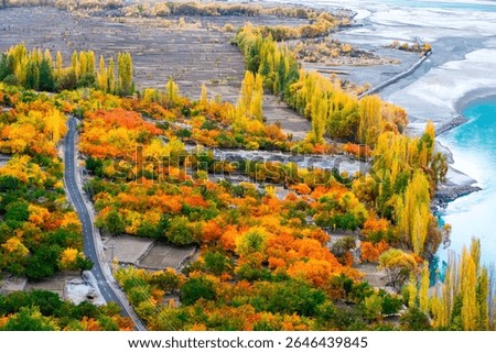 High angle view of river amidst autumn trees in the karakoram mountains 