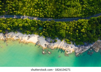 High Angle View Of  Road Pass Through Coconut Tree Forest And Beautiful Coastline In Khanom, Nakhon Si Thammarat, Thailand