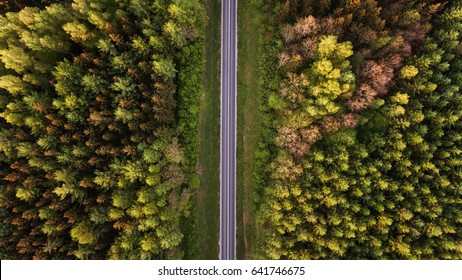 High Angle View Of A Road Trough The Forest At The Sunset With Copy Space