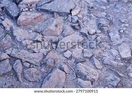 High angle view of a rough, unpaved pathway featuring broken stones, fractured rocks, and dry dirt ground. This detailed geological texture and raw earth backdrop photography captures an irregular rocky surface with minor green sprouts, making it ideal for civil engineering blogs, landscaping websites, construction templates, and 3D texture overlays.
