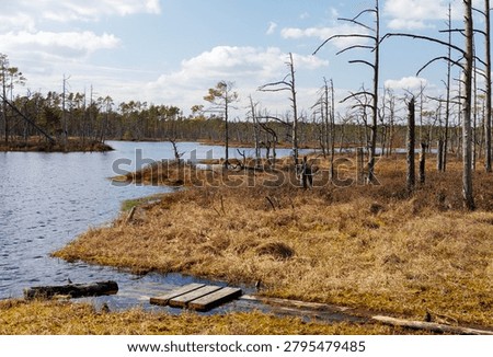 High angle view of a rustic boardwalk footbridge snaking through a massive wetland field under a beautiful dynamic sky, perfect for travel concepts.