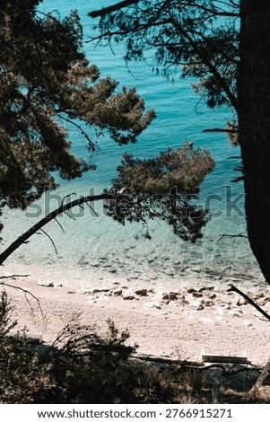 High angle view of a secluded pebble beach with turquoise water in Dalmatia, Croatia. Scenic Mediterranean coastal landscape framed by pine trees