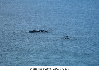High angle view of a small dark rocky reef protruding from the calm blue ocean surface near Phu Quy island, Vietnam