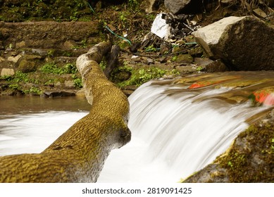 High angle view of a small river stream flowing through logs and fallen wood in a lush forest