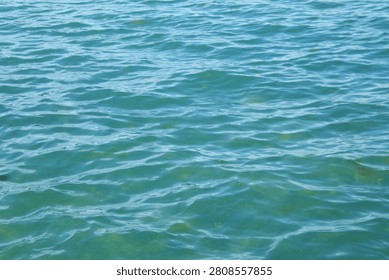 High angle view of transparent turquoise ocean water with visible sandy variations underneath and gentle ripples.