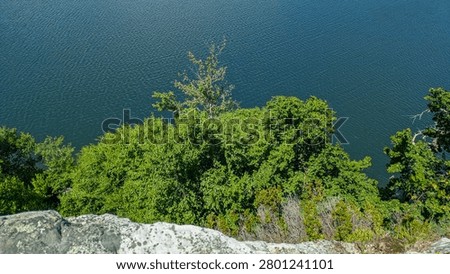 High angle view of trees and lake from rocky cliff