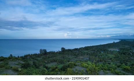 high angle view of trees in park
