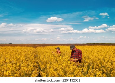 High angle view of two farm workers examining crops in blooming rapeseed field on bright sunny spring day, male and female farmer standing in cultivated canola field - Powered by Shutterstock