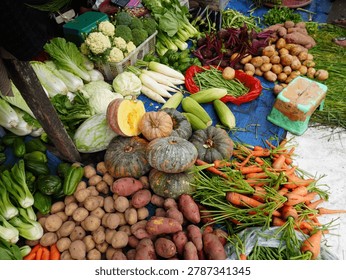 High angle view of various fresh colorful vegetables, including carrots, pumpkins, potatoes, and leafy greens, displayed on a blue tarp at a traditional local market.