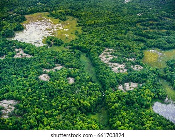 High Angle View Of Wetlands At Day, Toronto, Ontario, Canada. Aerial Picture From Ontario Canada 2016