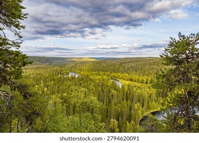 High angle view of a winding river flowing through an endless pine forest canyon in Kuusamo, Finland.
