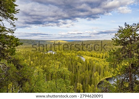 High angle view of a winding river flowing through an endless pine forest canyon in Kuusamo, Finland.