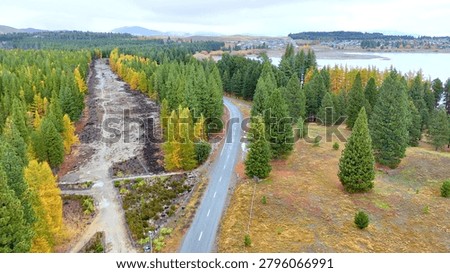 High angle view of a winding road through lush pine forests near Lake Tekapo.