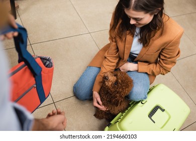 High Angle View Of Woman Petting Poodle Dog Near Boyfriend With Bag In Par Store 