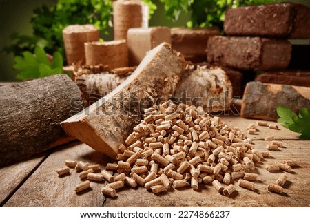 High angle of wood cylindrical pellets scattered on timber table near chopped birch and oak firewood and biofuel briquettes in nature