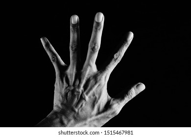 High Contrast Black White Hand Stock Photo 1515467981 | Shutterstock