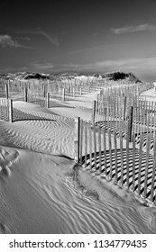 36,238 Beach scene black and white Images, Stock Photos & Vectors ...