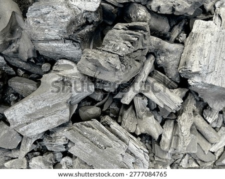 High contrast close up of various sized pieces of black wood charcoal