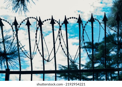 High contrast image of barbwire agains a blue sky