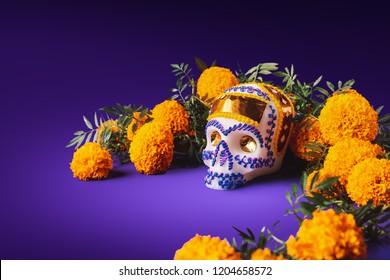 16,433 Sugar skull Stock Photos, Images & Photography | Shutterstock