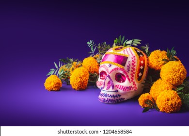 High contrast image of a sugar skull used for "dia de los muertos" celebration in a purple background with cempasuchil flowers - Shutterstock ID 1204658584