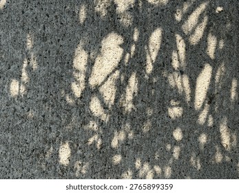 High contrast pattern of sun and shadow on a freshly scrubbed sidewalk creates an intricate abstraction. Color photo even though it does not appear to be so. Full color values embedded. Huntersville NC 2026