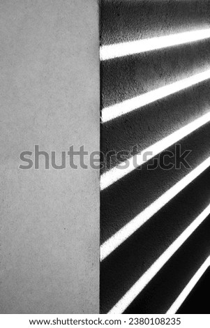 High Contrast Strip Shade in Black and White