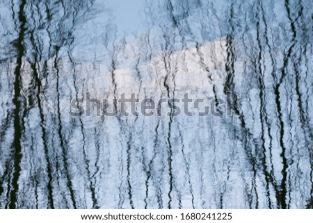 Similar – Mirrored Tree Reflection