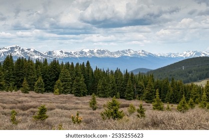 High Country meadow overlooking the mountain peaks near Breckenridge, Colorado. This meadow sits along Boreas Pass and overlooks the beautiful snowcapped Rocky Mountains. - Powered by Shutterstock