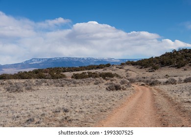 High Desert And Pinyon Juniper Woodland Above Grand Junction, Colorado