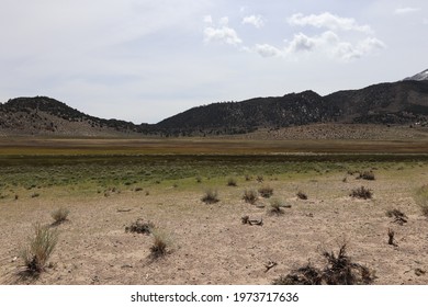High Desert sagebrush and valley view