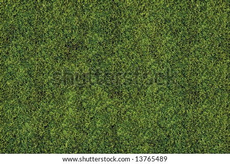 High detailed grass