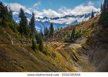 High divide backpacking trail mount olympus olympic national park hiking landscape photography washington beautiful vista scenic mountains pine trees blue sky snow capped background wallpaper desktop 
