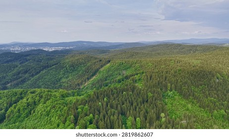 High elevated scene of evergreen and deciduous woodland spreading over rolling hills, revealing layered canopy, subtle clearings, winding paths, distant mountain ridges, soft haze, and calm natural