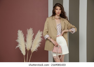 High fashion photo of a beautiful elegant young asian woman in sandy brown jacket, blazer, cream skirt, top, necklace, bracelets. Studio Shot. Rosy brown and Striped Corrugated Wall, dry branches.   - Shutterstock ID 2169081433