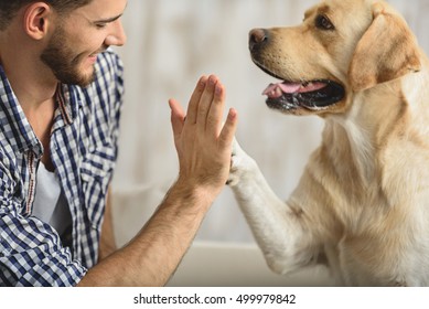 high five with dog and human - Shutterstock ID 499979842