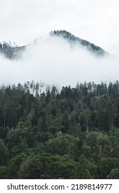 High Green Mountains Covered By Clouds On Top. Italian Dolomites Under A Cloudy Sky. Cold Weather, Humidity And Landscape Photography.