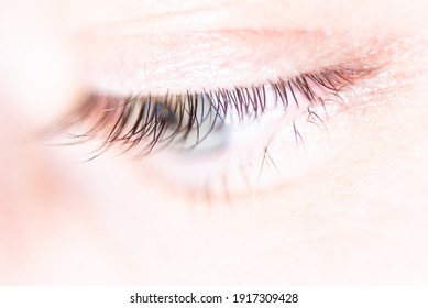 High Key Eyelashes - Close Up