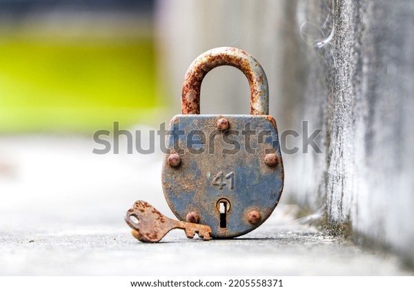 A high key image of D-Lock with key on the\
blur background.jpg