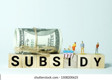 A High Key Photo Of Fake Money, Miniature And Subsidy Word Block. Subsidy Is A Grant Or Contribution Of Money To People. 